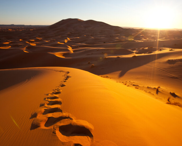 Sahara Desert mauritania